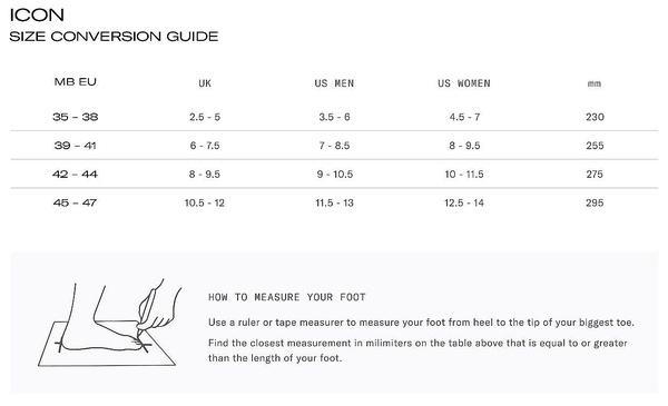 Dámské zimní boty MOON BOOT ICON GLANCE 002 silver 25/26