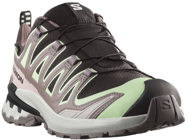 Dámské trailové běžecké boty Salomon XA PRO 3D V9 GTX Gore-tex W L47882300 26/27