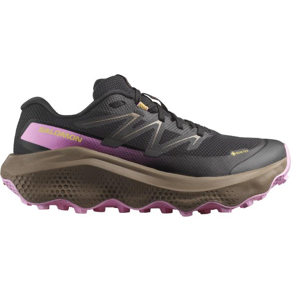 Dámské trailové boty Salomon Ultra Flow 2 GTX W Gore-tex L47884400 26/27